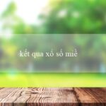 xổ số kiến thức(Dự báo kết quả xổ số miền nam hàng ngày)