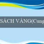 TIỆC TÙNG SAY SƯA(Trang web cá cược trực tuyến hàng đầu – Vo88VN)