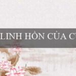 Của Cài Dồi Dào(Cạnh tranh để giành phần thưởng)