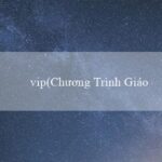 CHIẾN BINH RỒNG(Chính sách phát triển bền vững Việt Nam 1979)