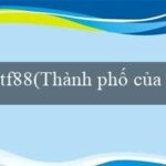 RÅN LEO THANG MẮT RẮN(Thành phố của vương quốc Maya – Thành phố vàng)