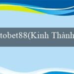 188bet(Hãy Chiến Thắng để Nhận Tiền Thưởng)