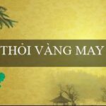 Thai Hi Lo(Thiên Đường Trò Chơi Trực Tuyến Vo88)