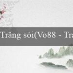 Trăng sói(Nhà cái Vo88 – Cái chơi tuyệt vời cho người Việt)