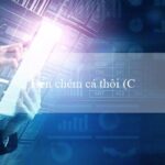 zbet68(Vo88 – Trang web cá cược trực tuyến hàng đầu)