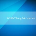 w388(Cổng thông tin giải trí trực tuyến Vo88)