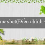 Lễ Hội Té Nước(Nhà cái Vo88 – Đánh bài, thắng lớn!)