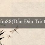 Dàn sao đánh cá(Trải nghiệm sòng bạc tuyệt vời tại Vo88!)