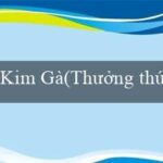 188bet(Vùng Đất May Mắn Khám Phá Thế Giới của Vo88)