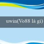 vn138bet(Quy định mới về hoạt động giao thông đường bộ)