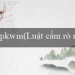 kkvin(Trang web cờ bạc lớn với tên gọi là Vo88)