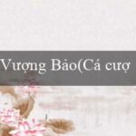 vin88(Thông tin và đánh giá về nhà cái Vo88)