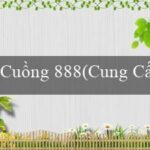 BỜ ĐÁ(Vo88 Hòa nhịp cùng sòng bài trực tuyến)