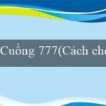 sv66(Cá cược nhanh chóng và thú vị tại Mu88)