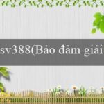 BET29(Vo88 Trang web cá cược trực tuyến hàng đầu)